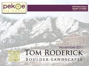 Pekoe Sip House - November 2011