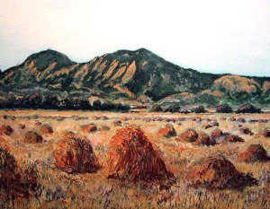 Boulder Flatirons with Hay Bales