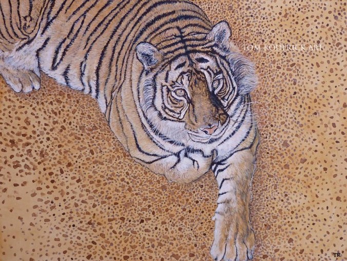 Sasha by Tom Roderick Art.jpg