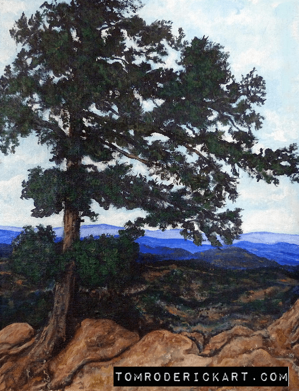 Flagstaff Mountain Tree