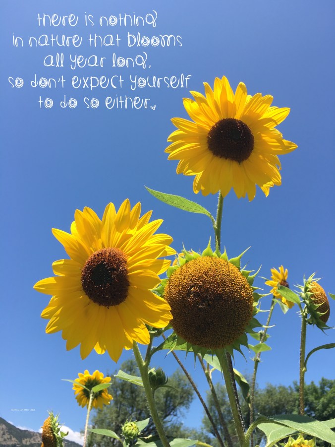 Blue Skies and Sunflowers