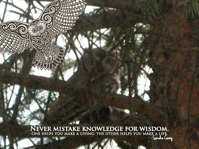 Knowledge vs. Wisdom quote