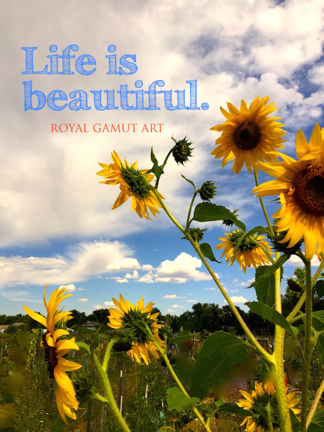 Life is Beautiful Sunflower photo