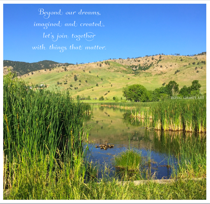 Momma Duck and her babies Wonderland Lake, Boulder Colorado