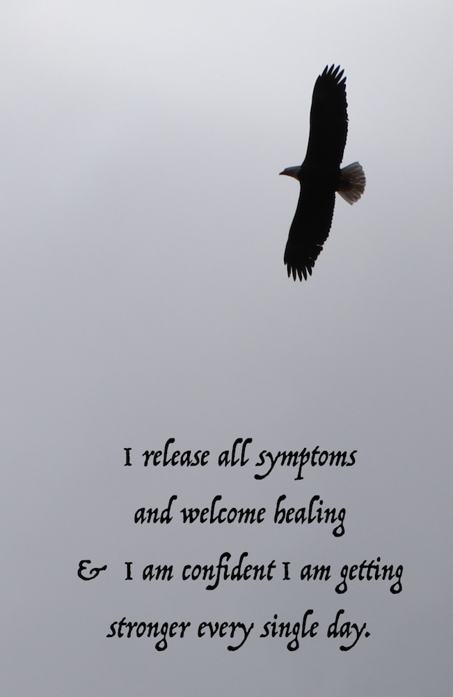 Photo by Rachel Rae Roderick Meeker Colorado April 2019