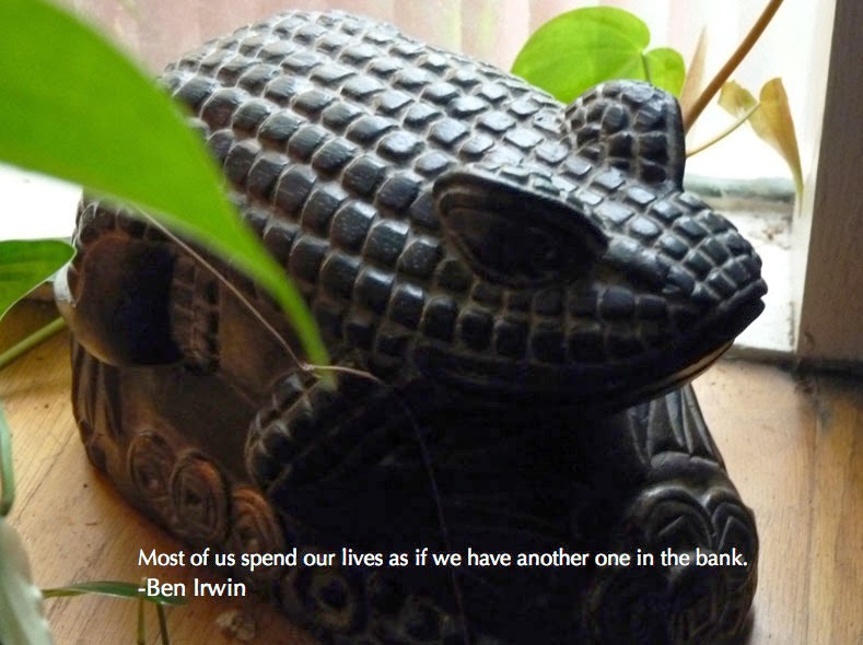 Abundance Frog Royal Gamut Art
