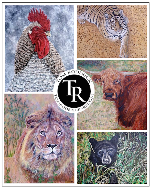 Animal portraits by Boulder artist Tom Roderick.