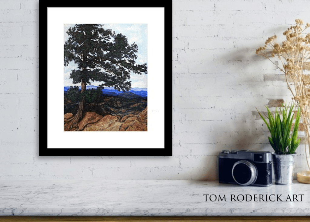 flagstaff mtn tree tom roderick art