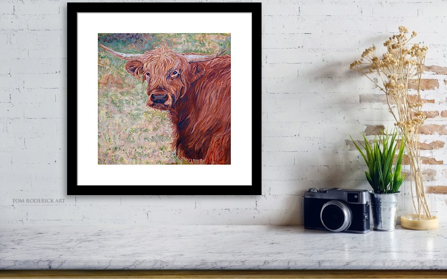 Framed print of Wink the Highland Cow by Boulder artist Tom Roderick.