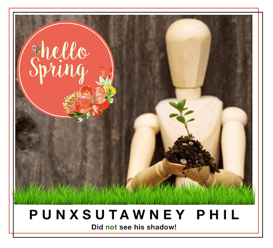 hello spring ground hog day prediction 2020
