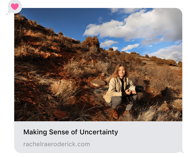 Making Sense of Uncertainty by Rachel Rae Roderick.