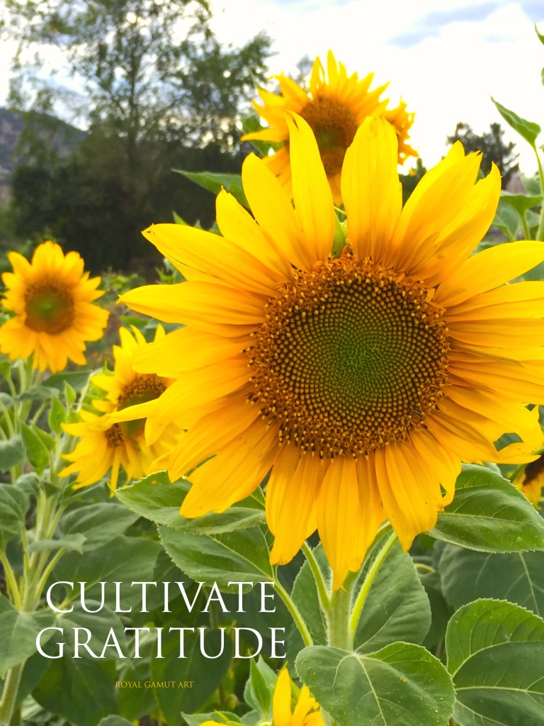 Cultivate Gratitude sunflower Royal Gamut Art