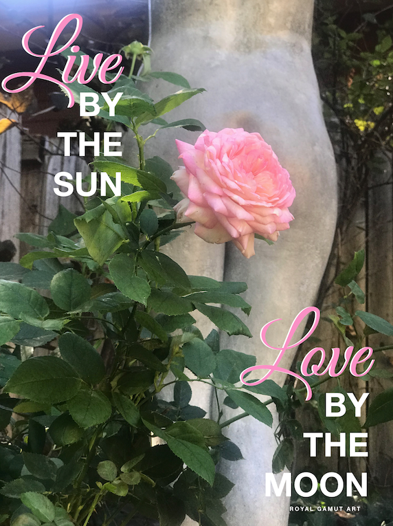 Photo of Marc Chagall rose with Luna the statue 