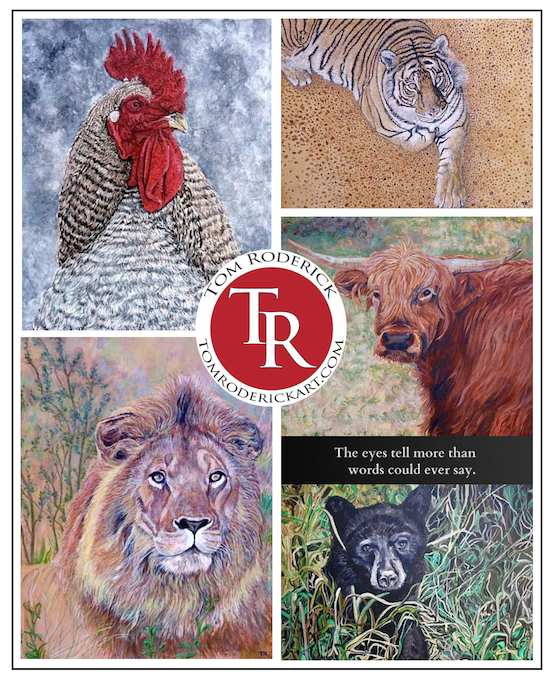 Animal Artwork by Boulder artist Tom Roderick.
